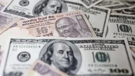 usdinrnew.webp