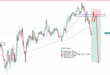 1770280065627.png 1770280065627.png