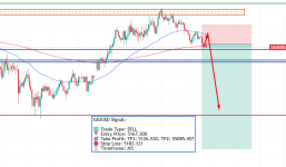 1772689561806.png 1772689561806.png